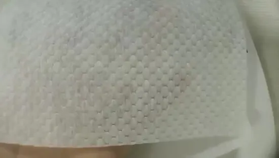 Non Woven Bag Breathable Waterproof PE Film Laminated Fabric for Sale 