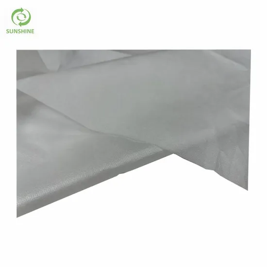 China PP + PE Laminated Nonwoven Fabric Two Layers Non Woven Cloth 