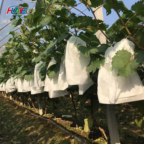 Nonwoven Agriculture PP Spunbond Nonwoven Fabric Shandong Huaye for Weed Control 