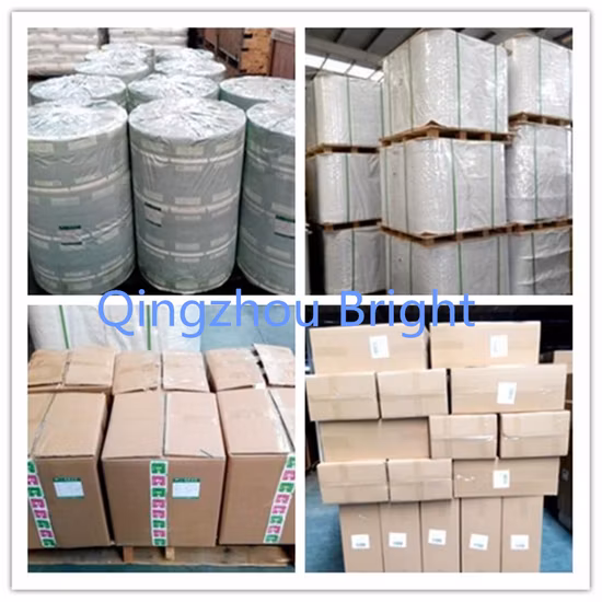 Metalized/Laminated/Wrapping/Packaging/Packing/Composite Packaging/Aluminum Foil/Roll Paper for Alcohol Prep Pad